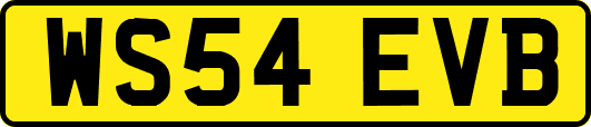 WS54EVB