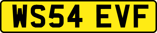 WS54EVF