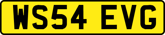 WS54EVG