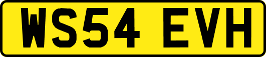 WS54EVH