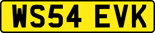 WS54EVK