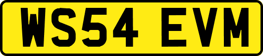 WS54EVM