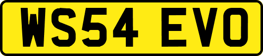 WS54EVO