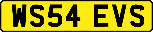 WS54EVS