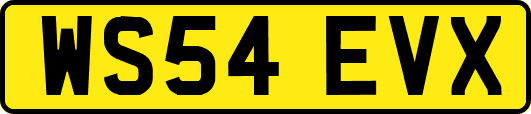 WS54EVX