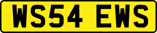 WS54EWS