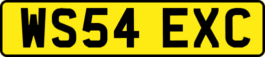 WS54EXC