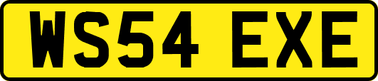 WS54EXE