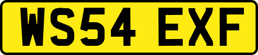 WS54EXF