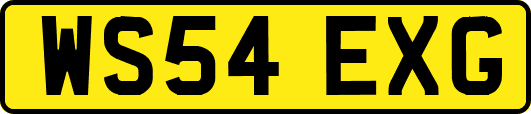 WS54EXG