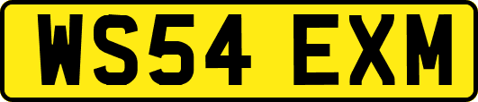 WS54EXM