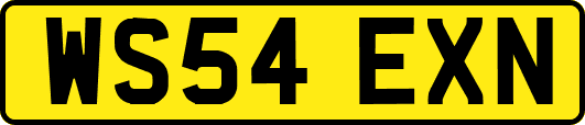 WS54EXN