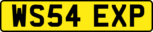 WS54EXP