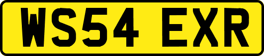 WS54EXR