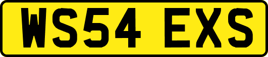 WS54EXS