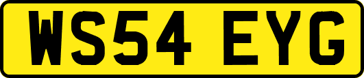 WS54EYG