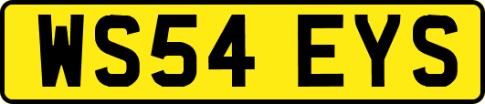 WS54EYS