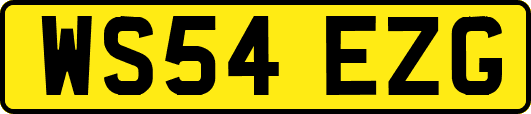 WS54EZG