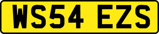 WS54EZS