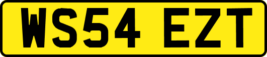 WS54EZT