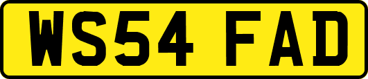 WS54FAD