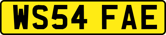 WS54FAE