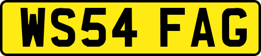 WS54FAG