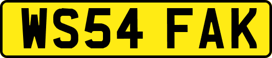 WS54FAK