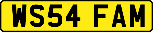 WS54FAM