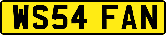 WS54FAN