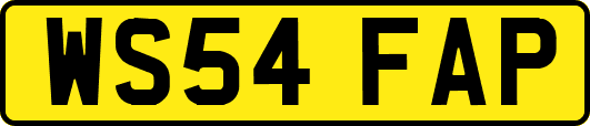 WS54FAP