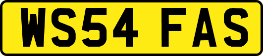WS54FAS