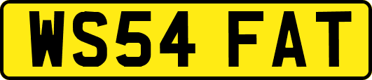 WS54FAT