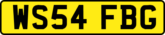 WS54FBG