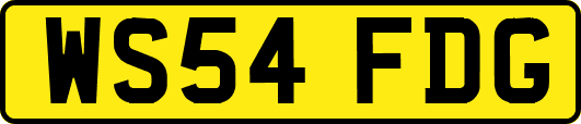 WS54FDG