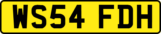 WS54FDH