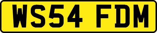 WS54FDM
