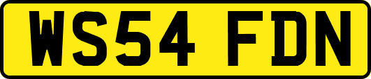 WS54FDN
