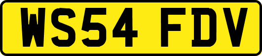 WS54FDV