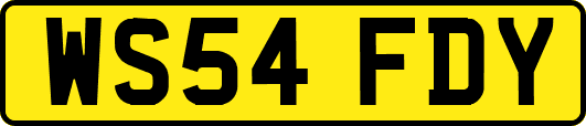 WS54FDY
