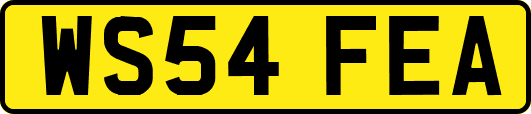 WS54FEA