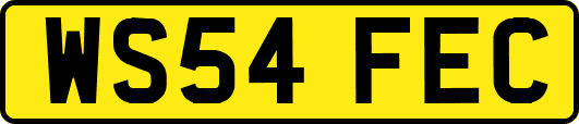 WS54FEC