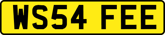 WS54FEE