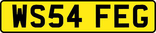 WS54FEG