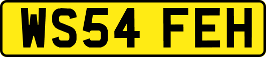 WS54FEH