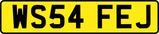 WS54FEJ