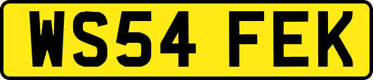 WS54FEK