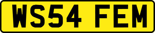 WS54FEM