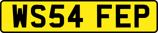 WS54FEP