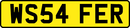WS54FER